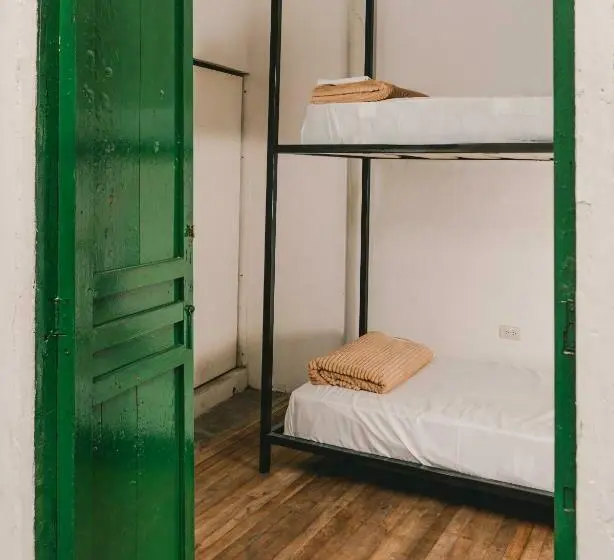 Ágy Megosztott Szobában, Wild Monkey Hostel