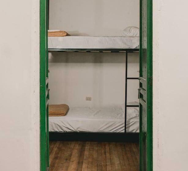 سرير فى غرفة مشتركه, Wild Monkey Hostel