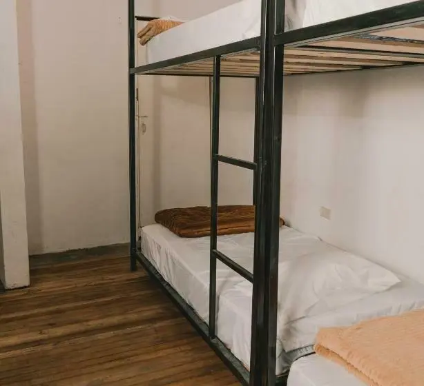 Ágy Megosztott Szobában, Wild Monkey Hostel