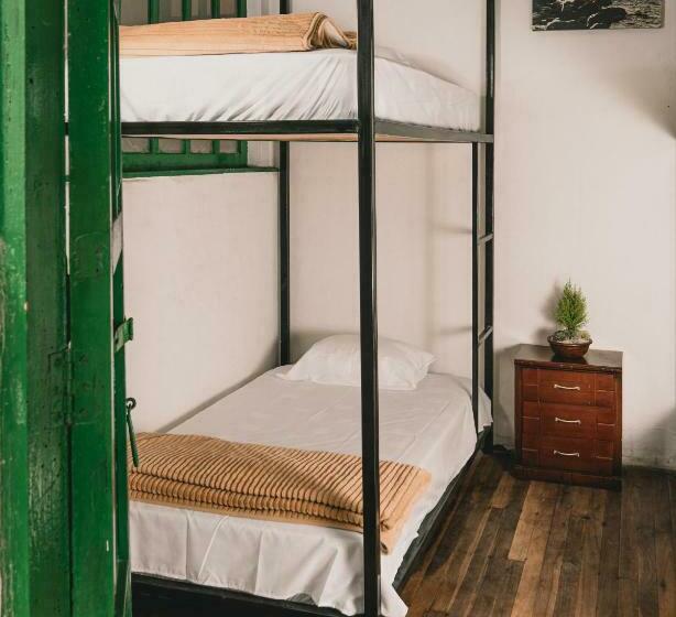 سرير فى غرفة مشتركه, Wild Monkey Hostel