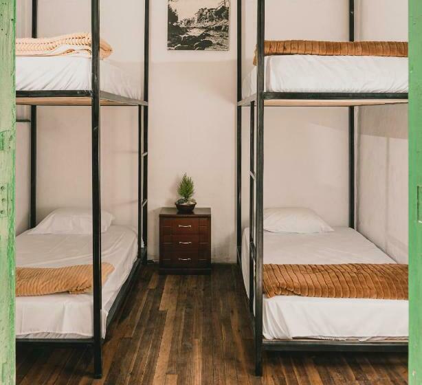 سرير فى غرفة مشتركه, Wild Monkey Hostel