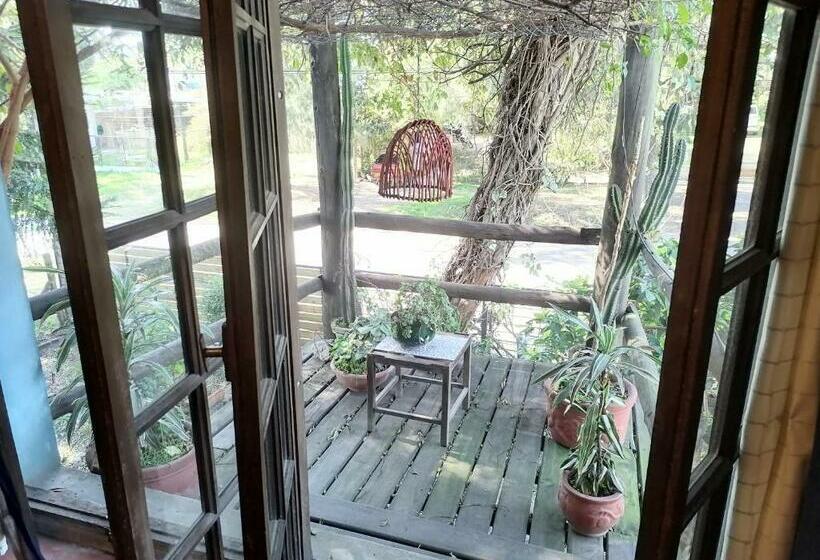 Номер Стандарт, La Estancia Hostel