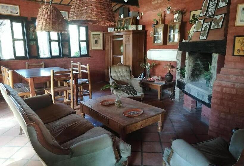 Номер Стандарт, La Estancia Hostel