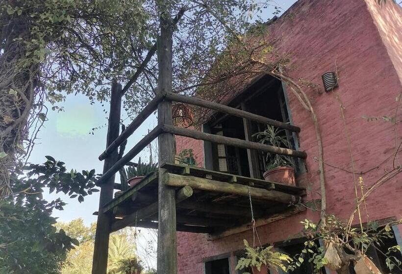 스탠다드 룸, La Estancia Hostel