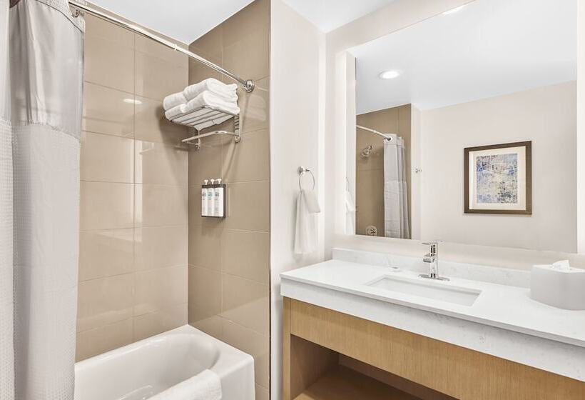 Suíte para Deficientes Físicos, Hyatt House Houston Medical Center