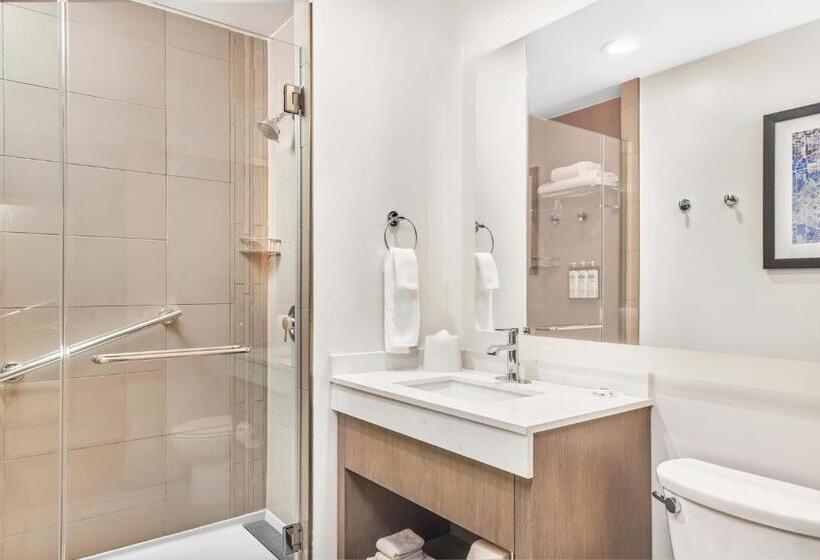 Suíte Cama King, Hyatt House Houston Medical Center
