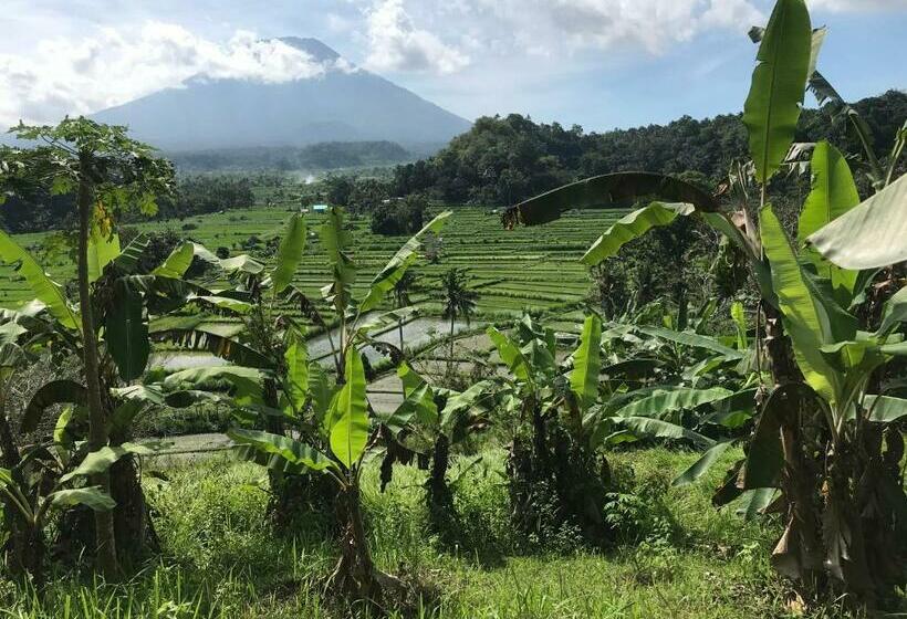Вилла 1 Спальня Вид на Сад, The Green Ujung Villa