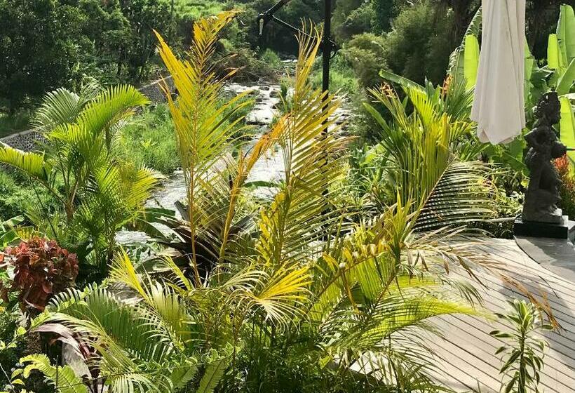 Вилла 1 Спальня Вид на Сад, The Green Ujung Villa