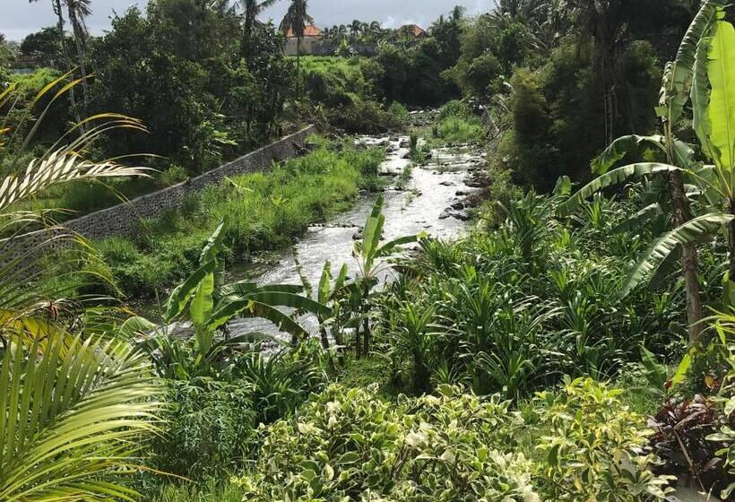 Вилла 1 Спальня Вид на Сад, The Green Ujung Villa