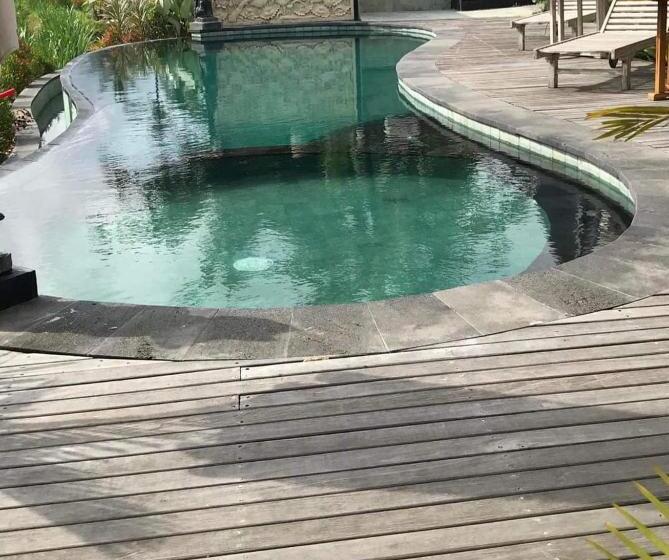 Вилла 1 Спальня Вид на Сад, The Green Ujung Villa