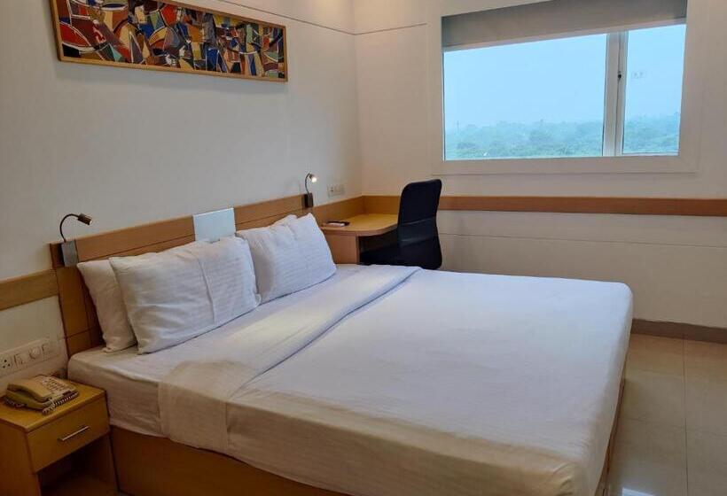 高级大房间, Mango Grove