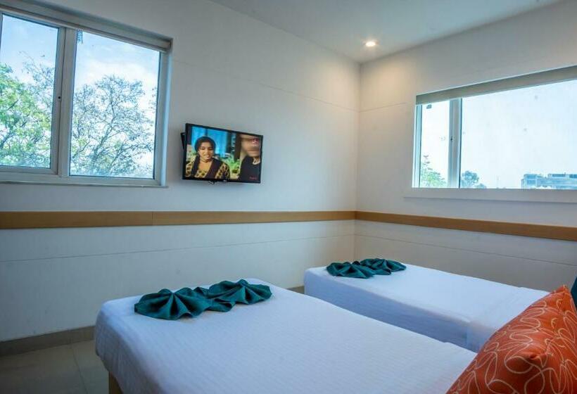 高级大房间, Mango Grove