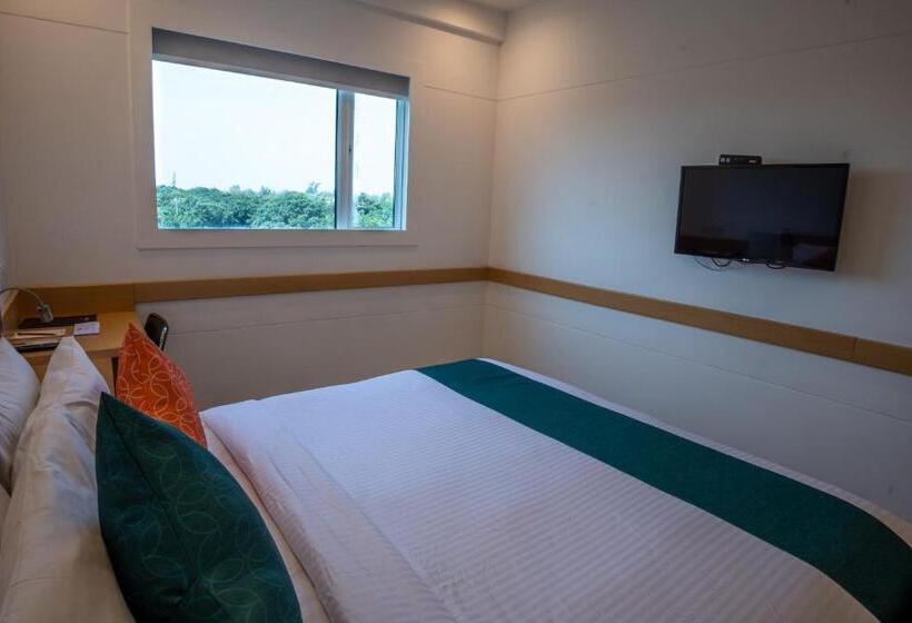 高级大房间, Mango Grove