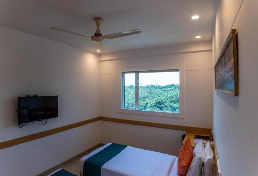 高级大房间, Mango Grove