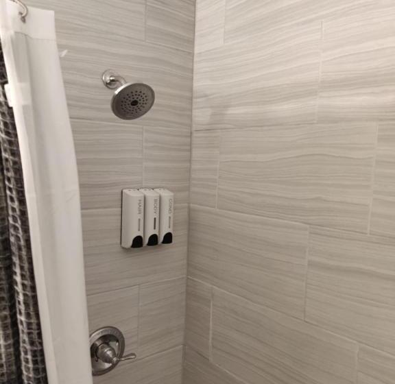 غرفة قياسية, Roosevelt Inn