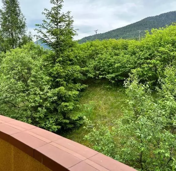 デラックスルーム, Garni Hotel Gavurky