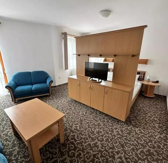 デラックスルーム, Garni Hotel Gavurky