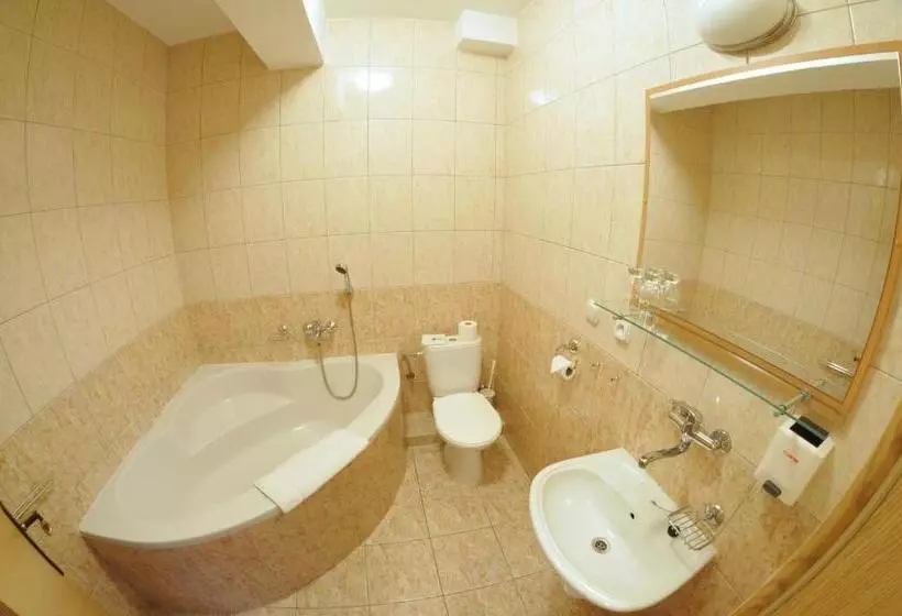 デラックスルーム, Garni Hotel Gavurky