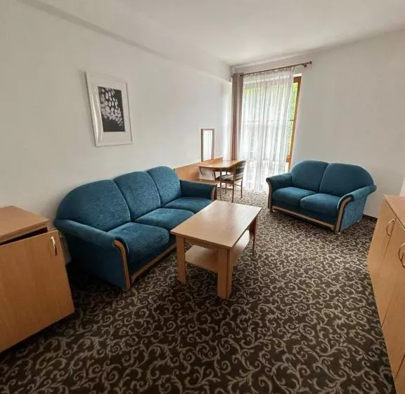 デラックスルーム, Garni Hotel Gavurky