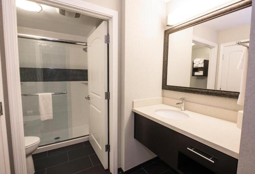Люкс 2 Спальни, Staybridge Suites Albany Wolf Rd Colonie Center, An Ihg