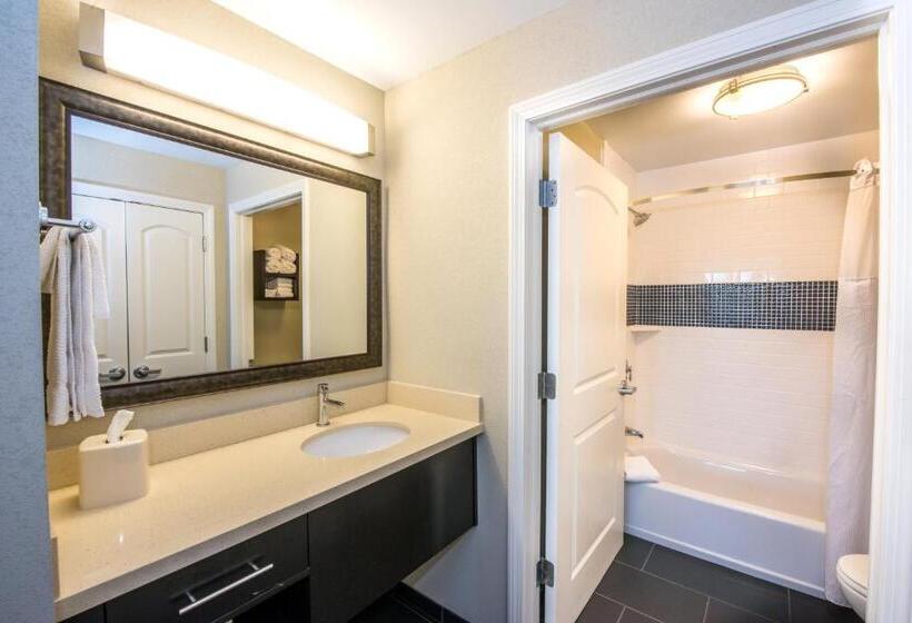 Люкс 2 Спальни, Staybridge Suites Albany Wolf Rd Colonie Center, An Ihg