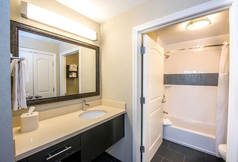 Люкс, Staybridge Suites Albany Wolf Rd Colonie Center, An Ihg