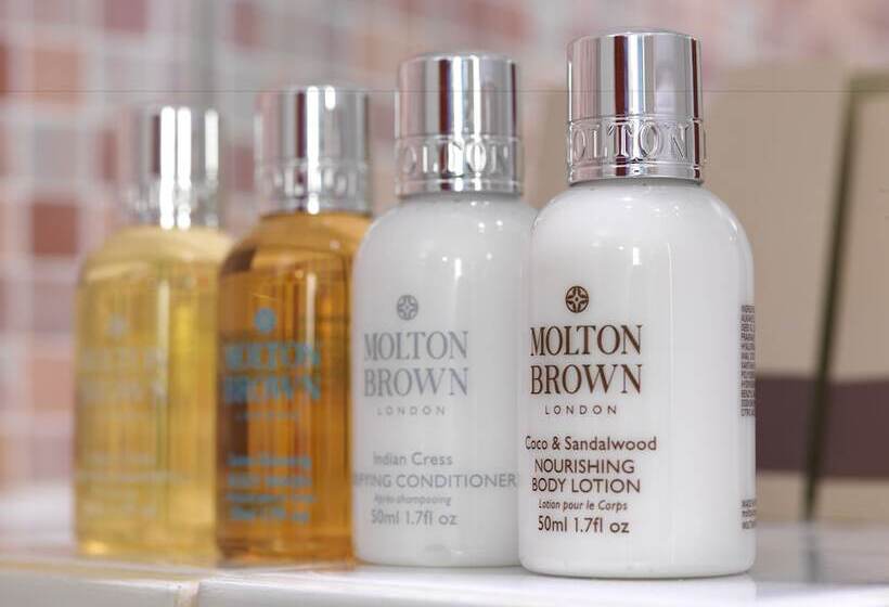 סוויטה אקזקיוטיב, Sunborn London Yacht