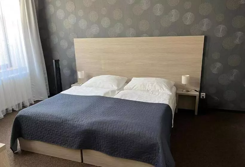 Standard-huone, U Dvou Medvídků