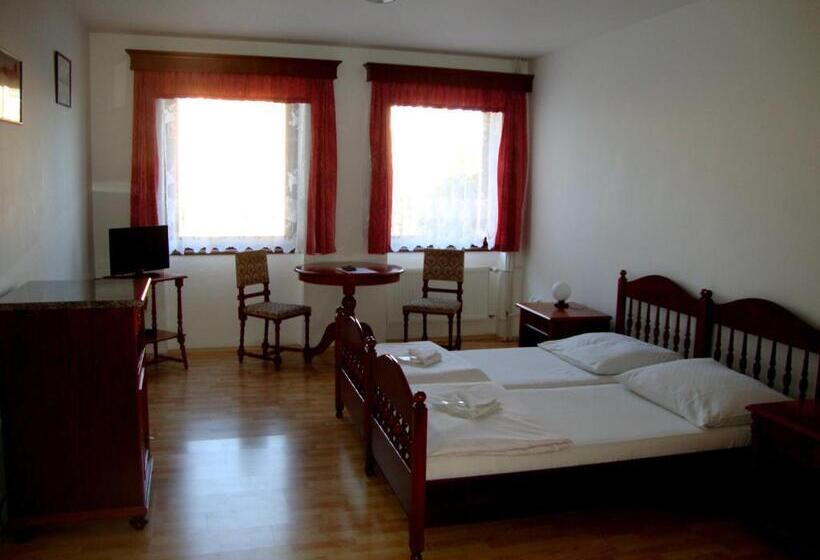 חדר סטנדרט, Penzion Aviatik