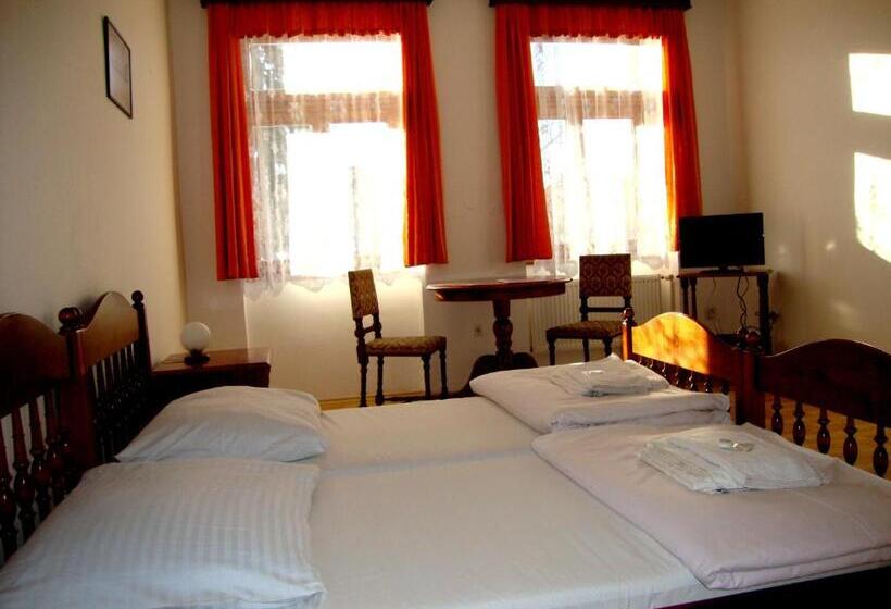 חדר סטנדרט, Penzion Aviatik