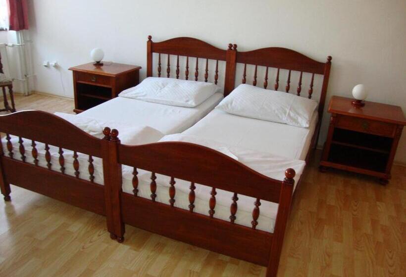 חדר סטנדרט, Penzion Aviatik