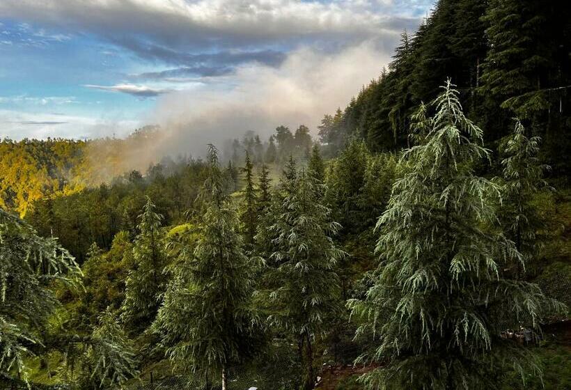 חדר סטנדרט נוף להרים, The Roots Hotel & Resort Jalna Almora