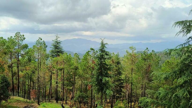 חדר סטנדרט נוף להרים, The Roots Hotel & Resort Jalna Almora