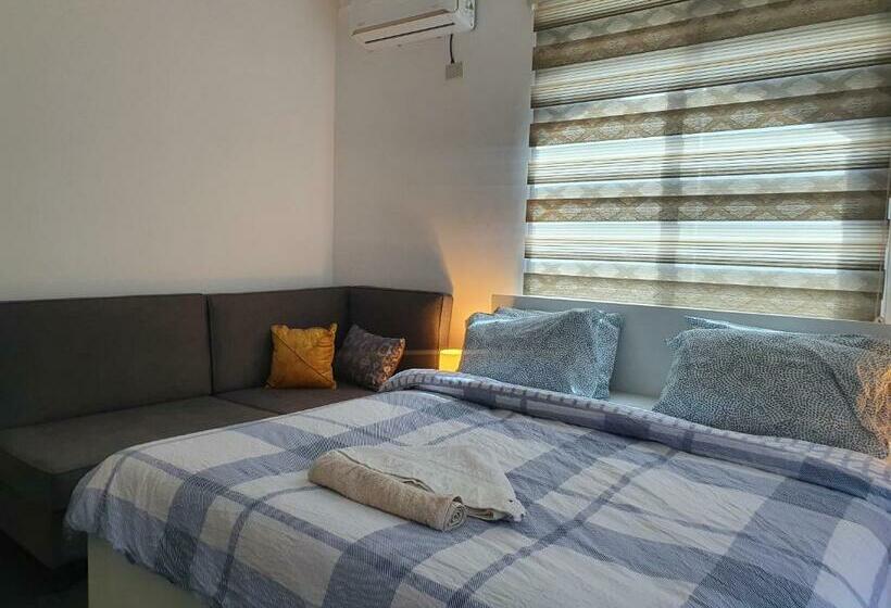 اتاق اکونومی, Full Panorama Jerash