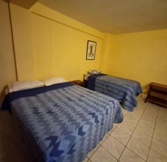 اتاق استاندارد, Astore Matta 2537