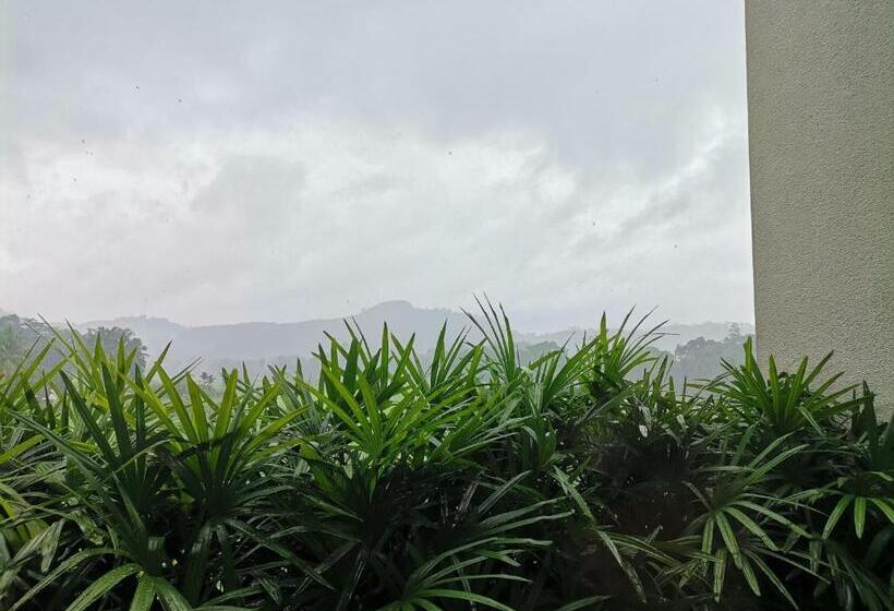 Люкс с Балконом, Grand Silver Ray