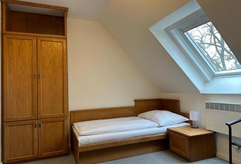 标准单人间, Auri