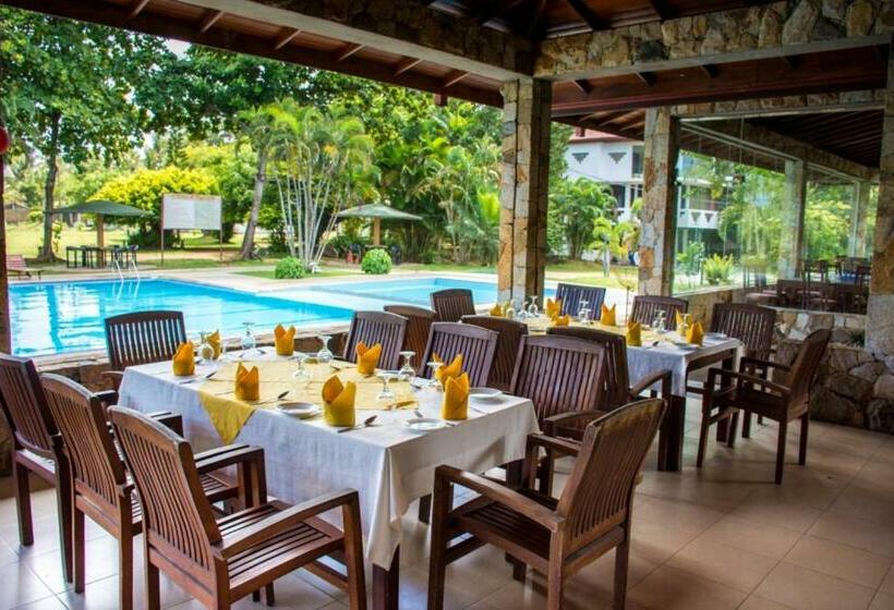 اتاق یک تخته با تراس, River View Banquet & Resort