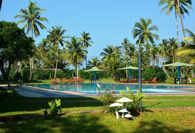 اتاق یک تخته با تراس, River View Banquet & Resort