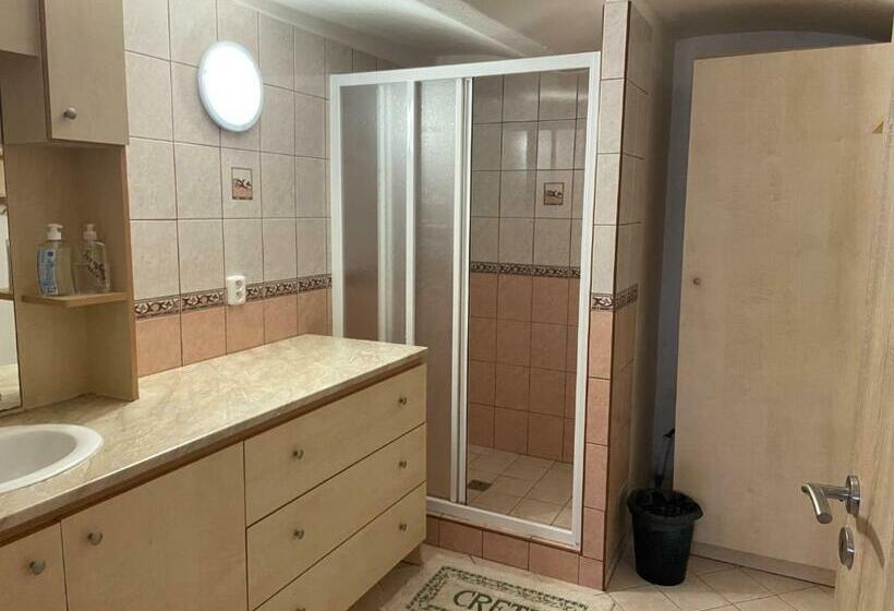 חדר סטנדרט חדר אמבטיה משותף, Penzion Dagmar