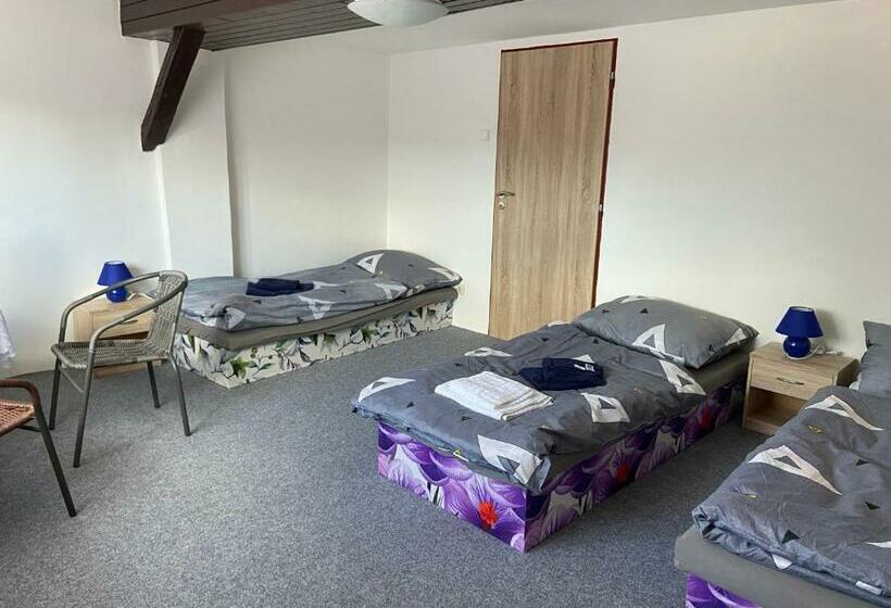 חדר סטנדרט חדר אמבטיה משותף, Penzion Dagmar