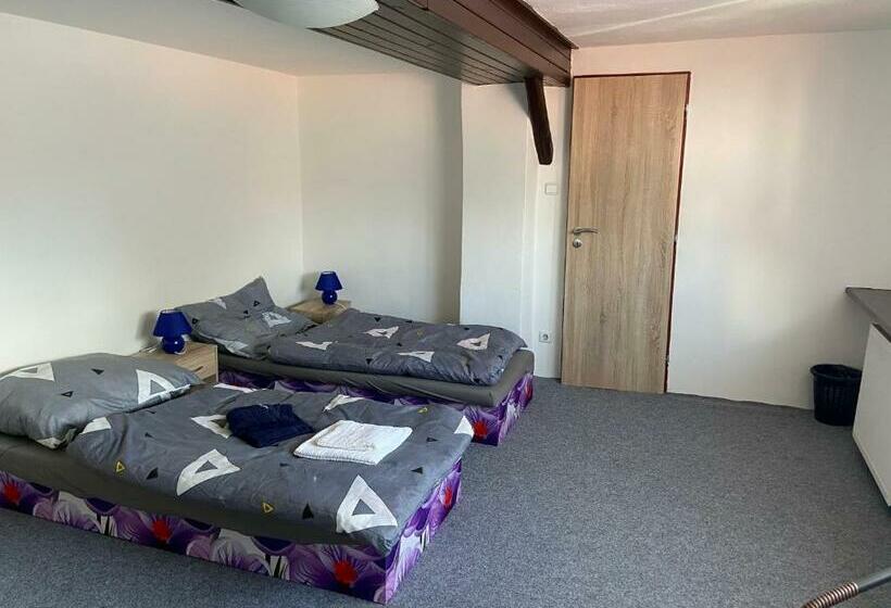 חדר סטנדרט חדר אמבטיה משותף, Penzion Dagmar