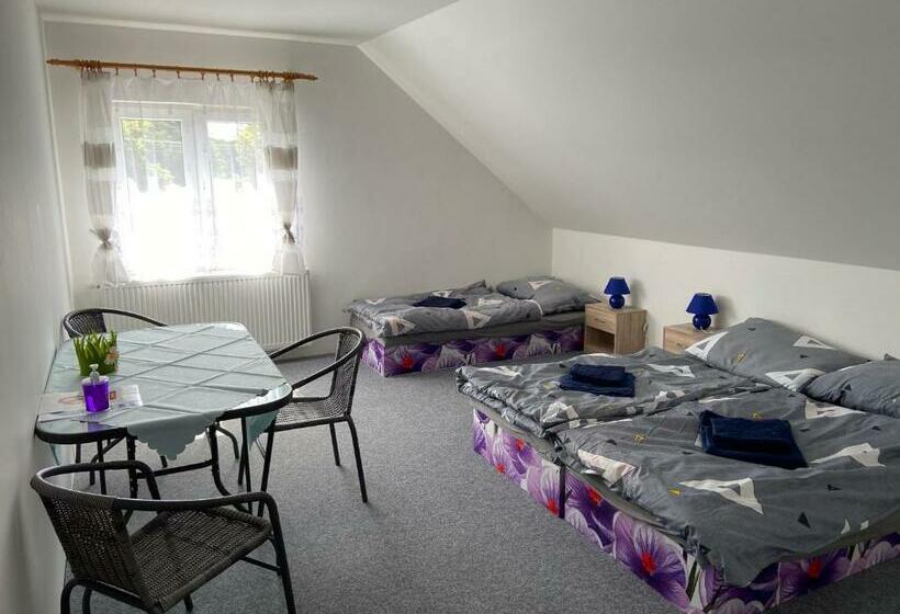 חדר סטנדרט חדר אמבטיה משותף, Penzion Dagmar