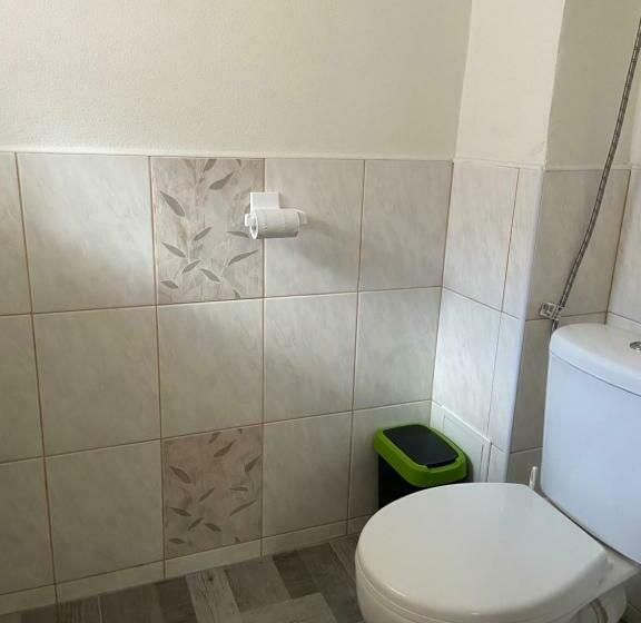 חדר סטנדרטי לארבעה עם חדר אמבטיה משותף, Penzion Dagmar