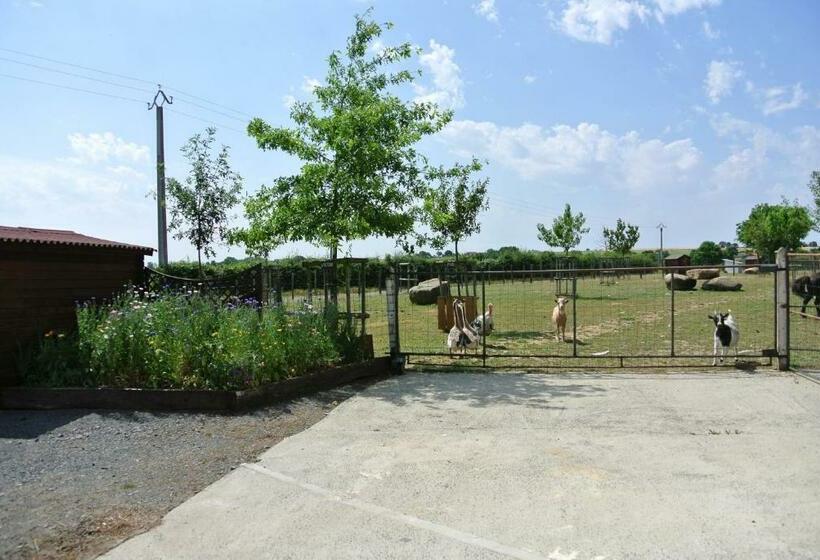 스탠다드 룸, Chez Michel Et Josette