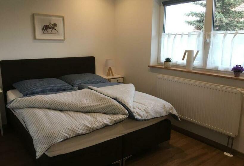 ベーシックルーム, Gut Fischer