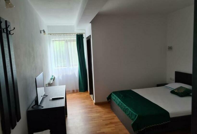 Номер Deluxe, Pensiunea Medaless