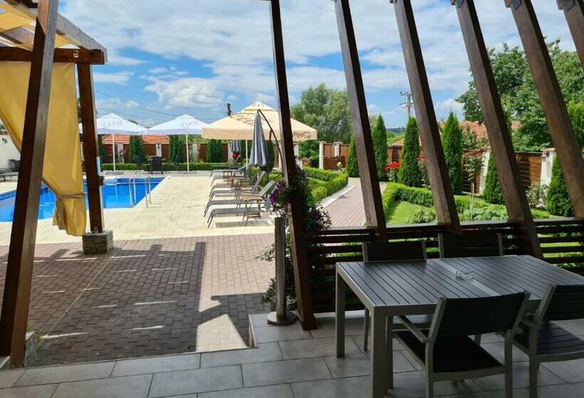 Апартаменты 1 Спальня с Террасой, Pensiunea Medaless