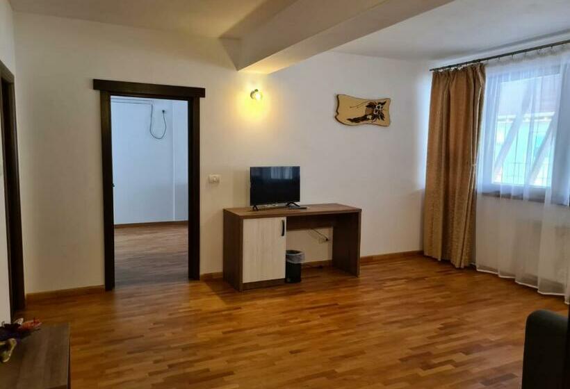 Апартаменты 1 Спальня с Террасой, Pensiunea Medaless