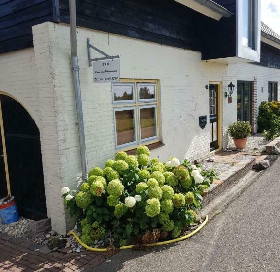 スタンダードルーム, Prins Van Poederoijen